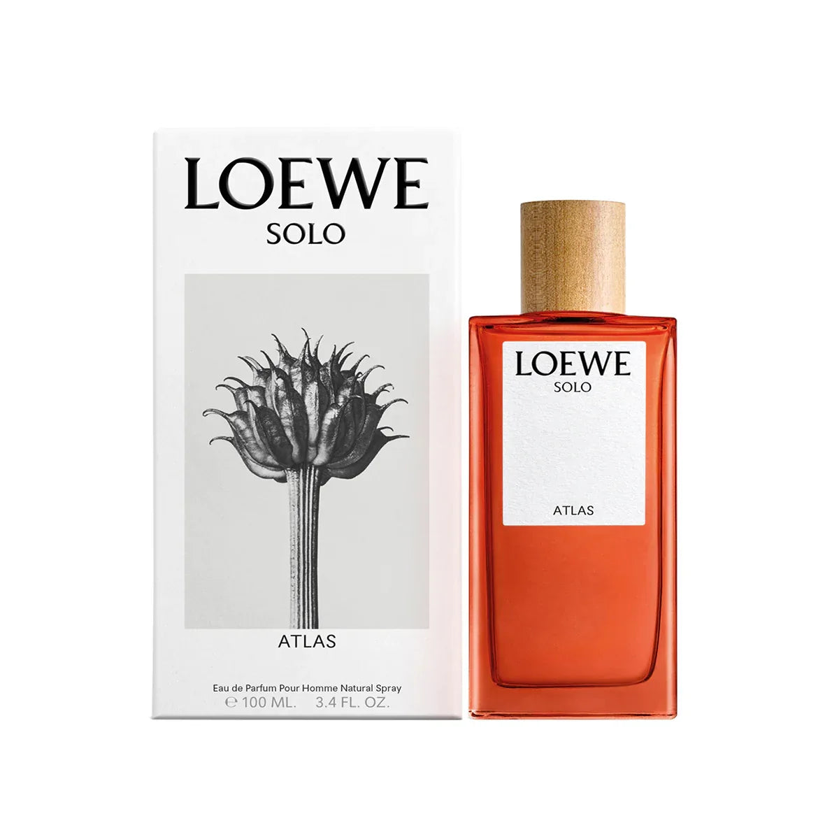 Loewe Solo Atlas Edp Men Perfume 100Ml 