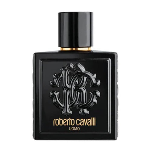 Roberto Cavalli Uomo Rc Edt 100ml