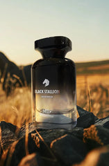 MTJ Black Stallion for Men 50 ml 