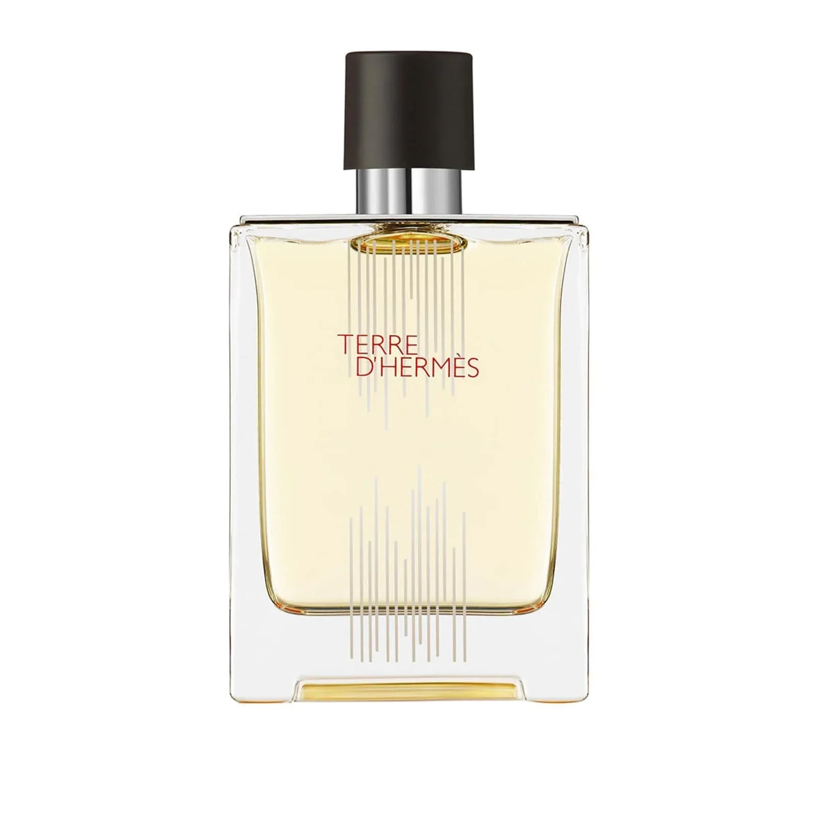 Hermes Terre D'Hermes EDT Perfume For Men 100Ml 