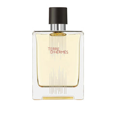 Hermes Terre D'Hermes EDT Perfume For Men 100Ml 