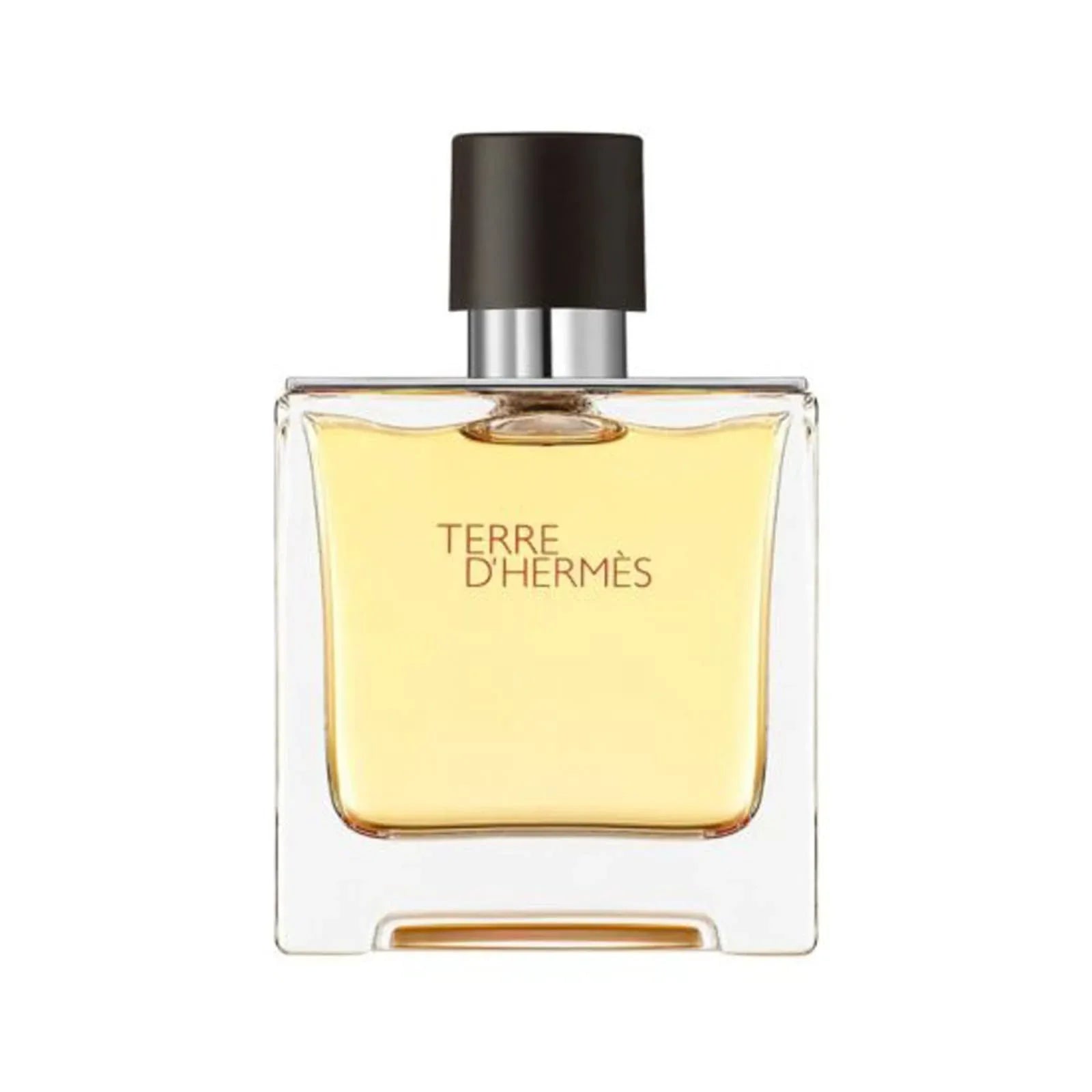 Hermes Terre D'Hermes Pure Parfum EDP Perfume For Men 75Ml 