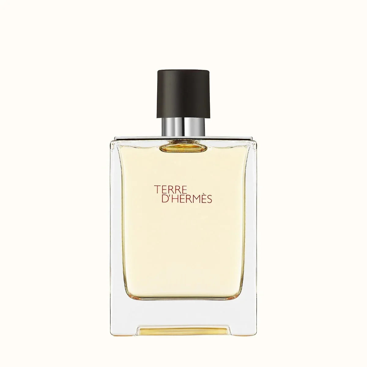 Hermes Terre D' Hermes EDT Perfume For Men 100Ml 