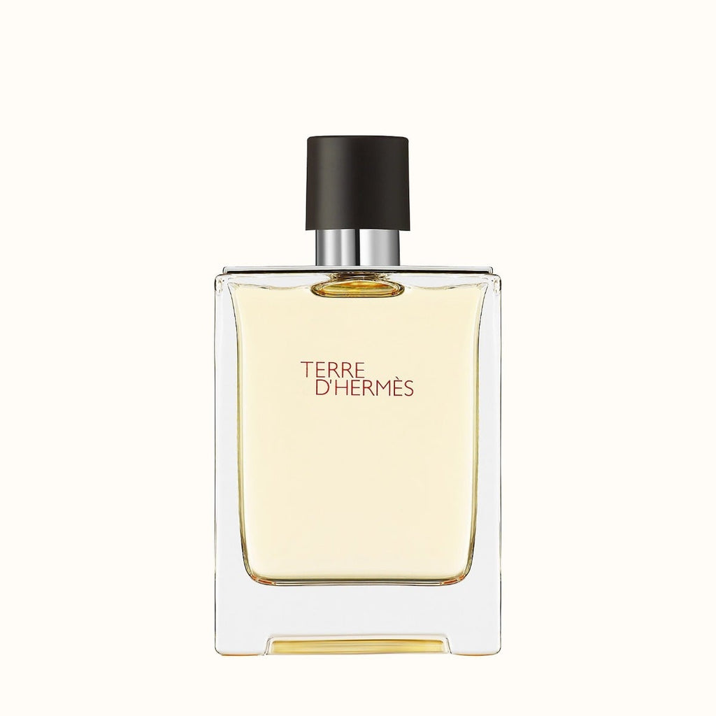 Hermes Terre D' Hermes EDT Perfume For Men 100Ml – Perfume Online
