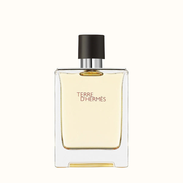 Hermes Terre D' Hermes EDT Perfume For Men 100Ml