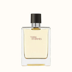 Hermes Terre D' Hermes EDT Perfume For Men 100Ml 