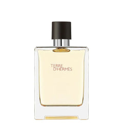 Hermes Terre D Hermes Edt Perfume For Men 100Ml 