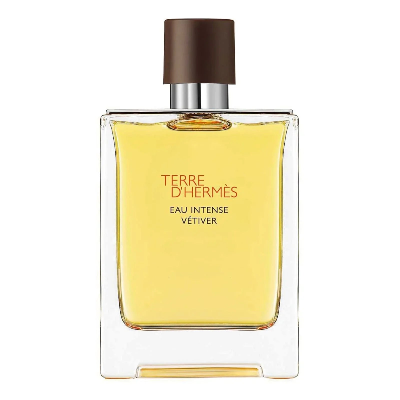 Hermes Terre D'Eau Intense Vetiver Edp Perfume For Women 100Ml 