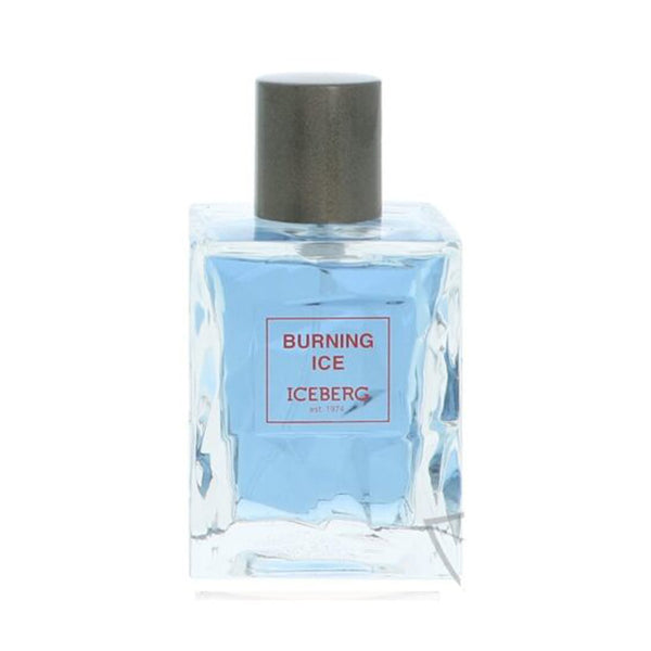 Iceberg Burning Ice Edt Perfume For Men 100Ml