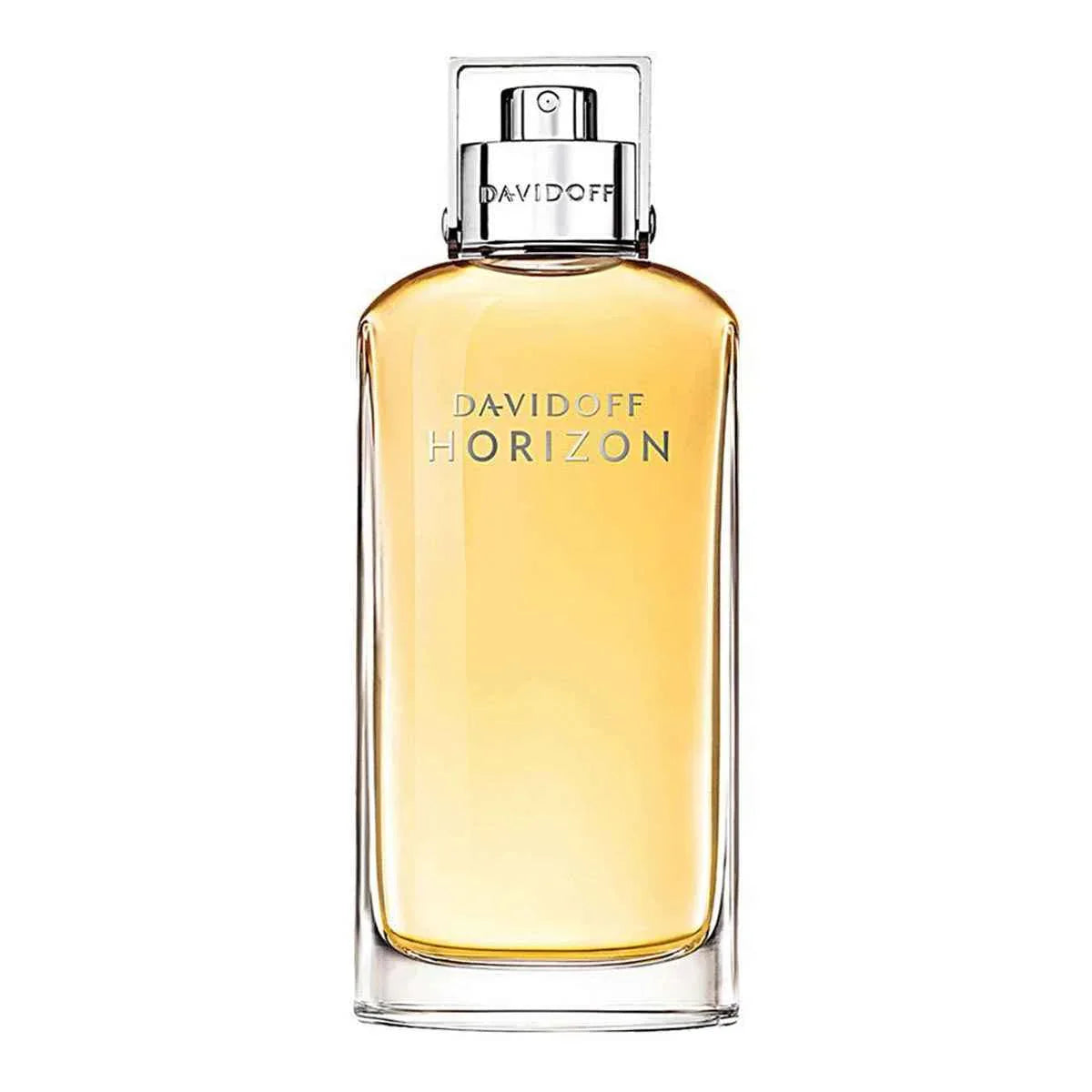 Davidoff Horizon Edt Perfume for Men 125Ml 