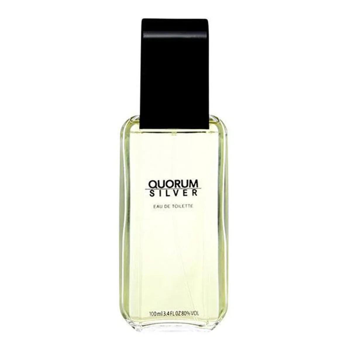 Quorum Silver EDT Perfume For Men 100Ml 